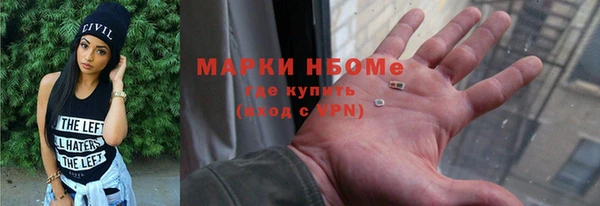 хмурый Алзамай