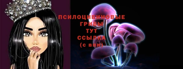 хмурый Алзамай