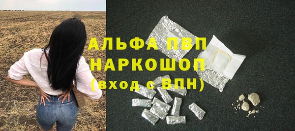 хмурый Алзамай