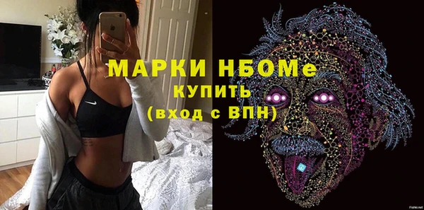 хмурый Алзамай