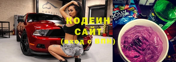хмурый Алзамай